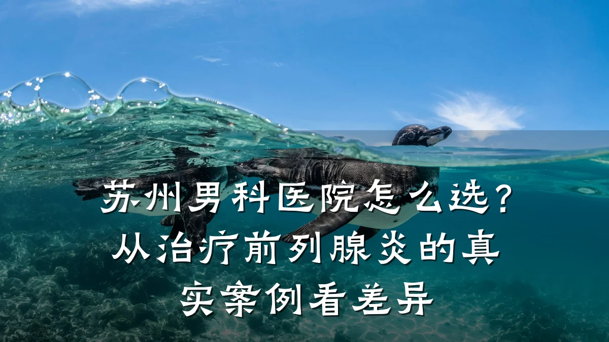 苏州男科医院怎么选?从治疗前列腺炎的真实案例看差异