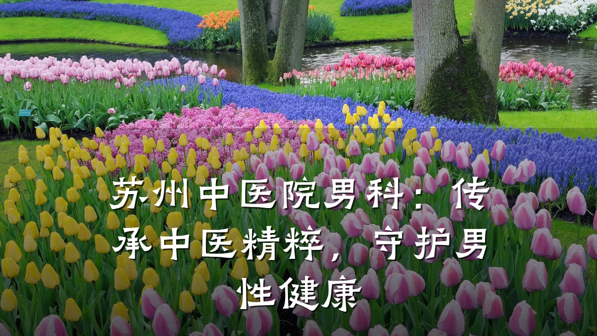 苏州中医院男科:传承中医精粹,守护男性健康