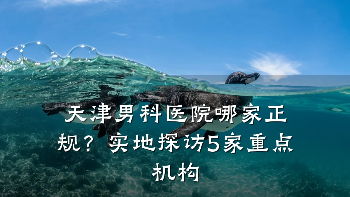 天津男科医院哪家正规?实地探访5家重点机构