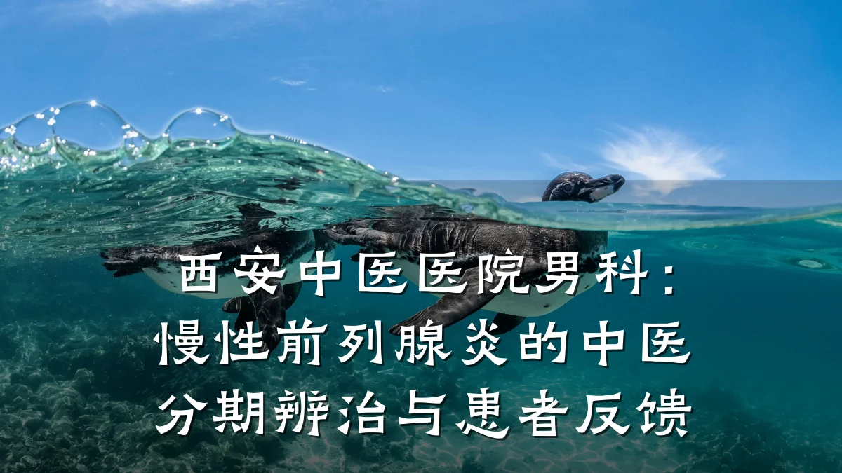西安中医医院男科:慢性前列腺炎的中医分期辨治与患者反馈