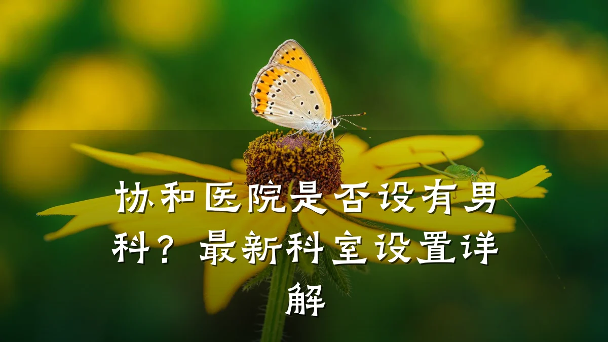 协和医院是否设有男科?最新科室设置详解