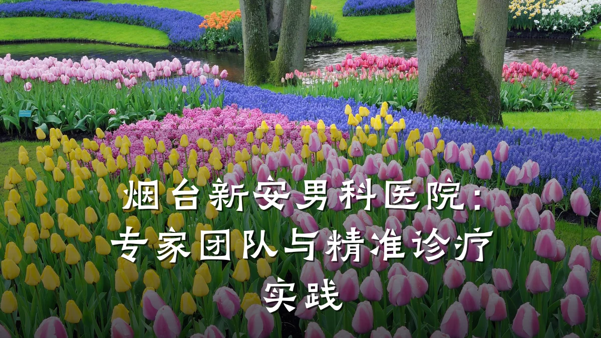 烟台新安男科医院:专家团队与精准诊疗实践
