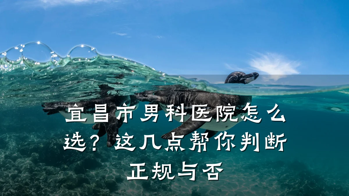 宜昌市男科医院怎么选?这几点帮你判断正规与否