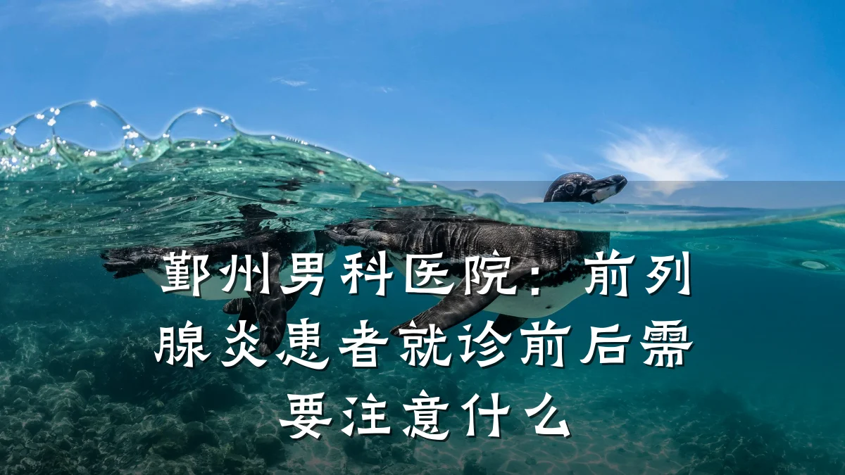 鄞州男科医院:前列腺炎患者就诊前后需要注意什么