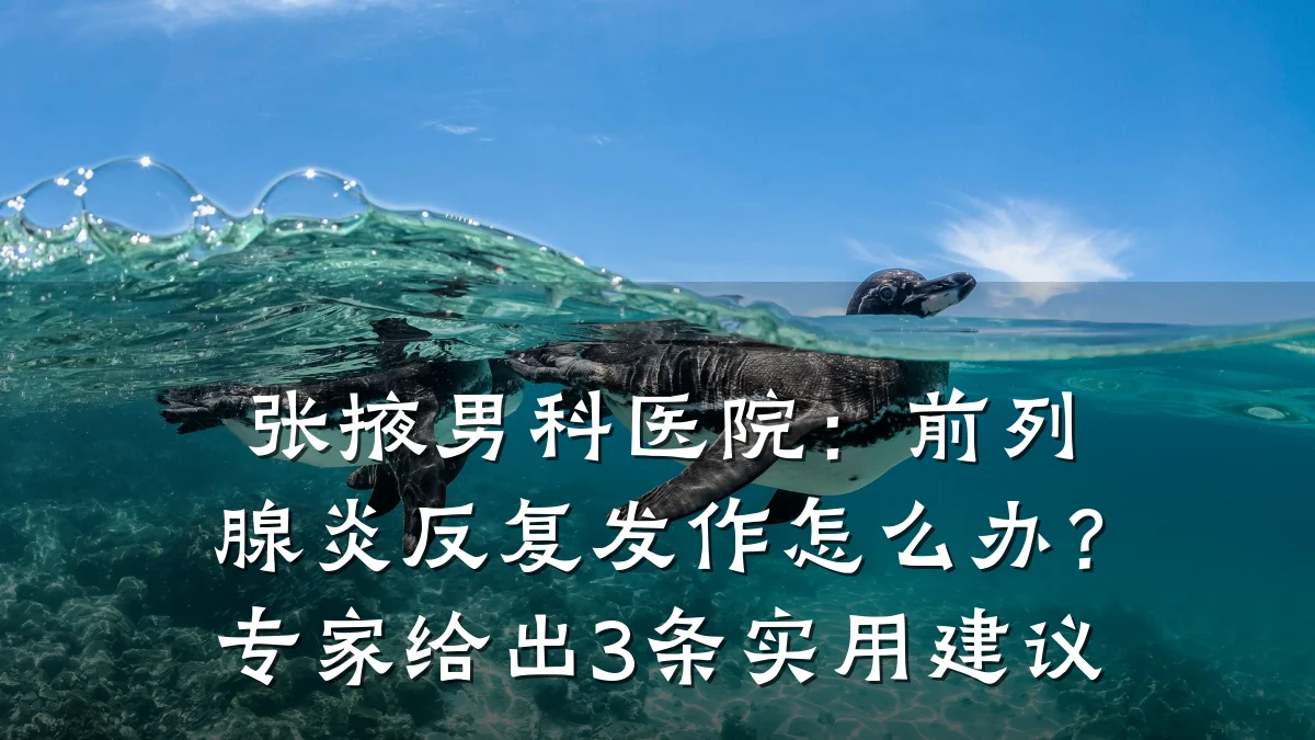 张掖男科医院:前列腺炎反复发作怎么办?专家给出3条实用建议