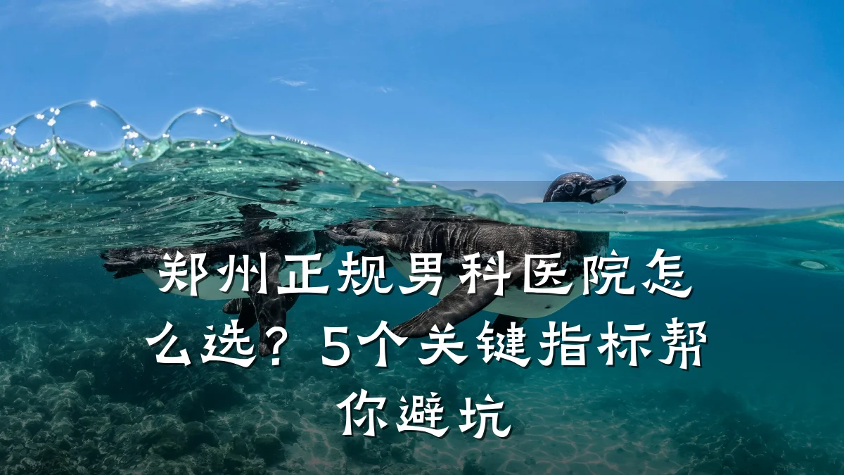 郑州正规男科医院怎么选?5个关键指标帮你避坑
