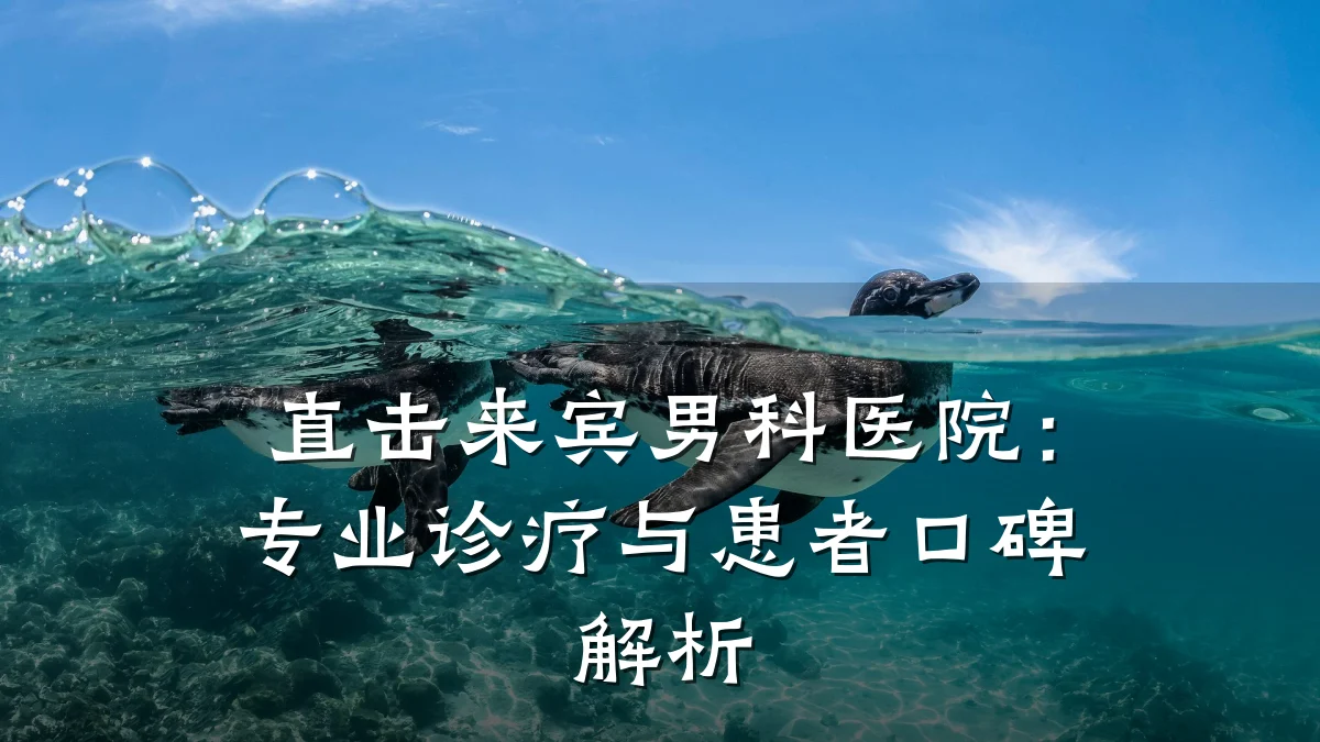 直击来宾男科医院:专业诊疗与患者口碑解析