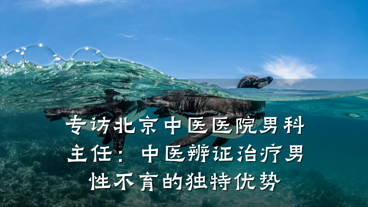 专访北京中医医院男科主任:中医辨证治疗男性不育的独特优势