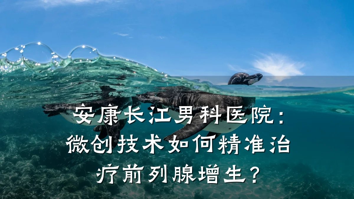 安康长江男科医院:微创技术如何精准治疗前列腺增生?