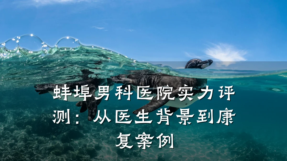 蚌埠男科医院实力评测:从医生背景到康复案例
