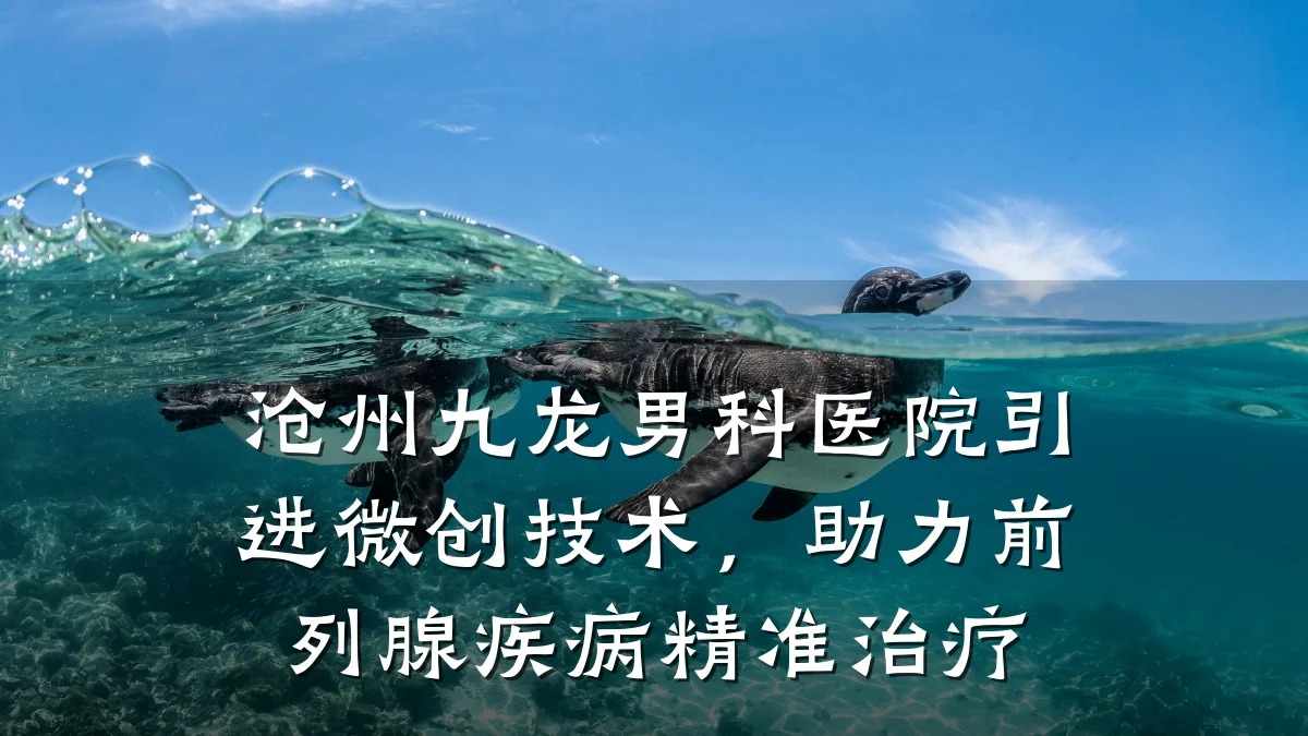 沧州九龙男科医院引进微创技术,助力前列腺疾病精准治疗