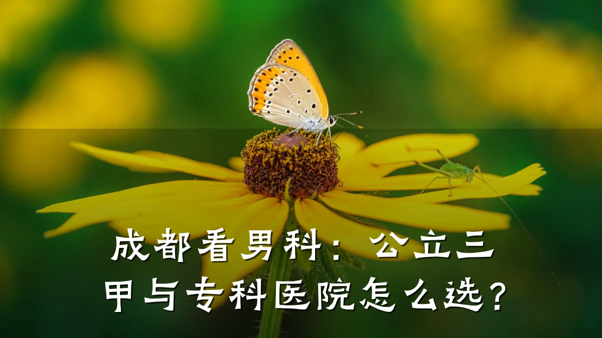 成都看男科:公立三甲与专科医院怎么选?