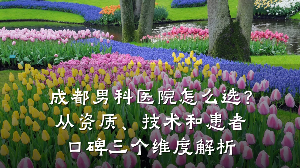 成都男科医院怎么选?从资质、技术和患者口碑三个维度解析