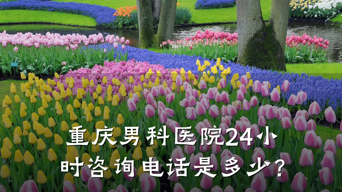 重庆男科医院24小时咨询电话是多少?