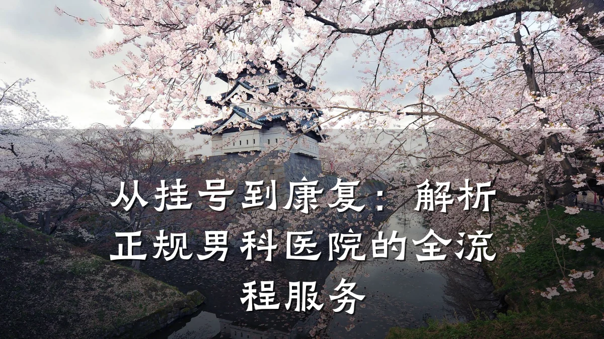 从挂号到康复:解析正规男科医院的全流程服务