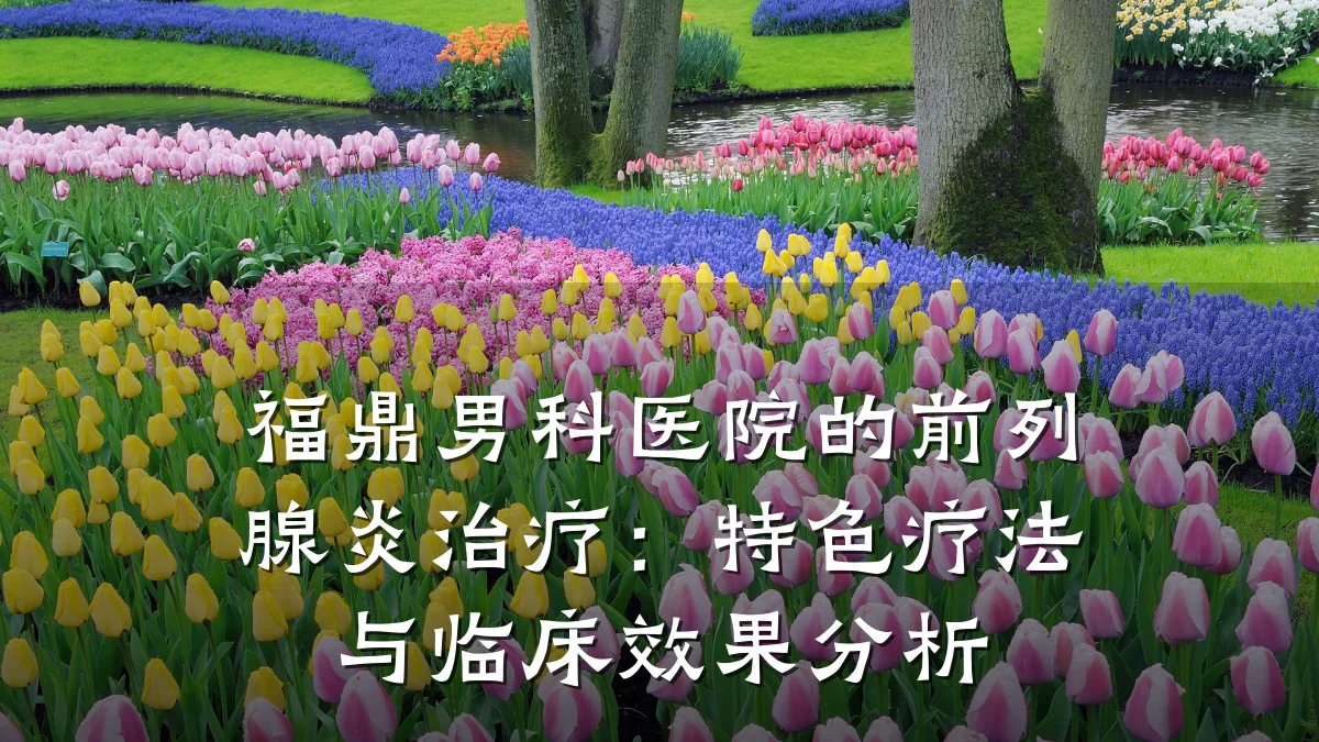 福鼎男科医院的前列腺炎治疗:特色疗法与临床效果分析