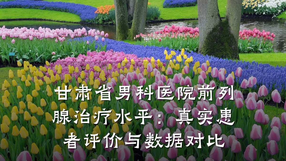 甘肃省男科医院前列腺治疗水平:真实患者评价与数据对比