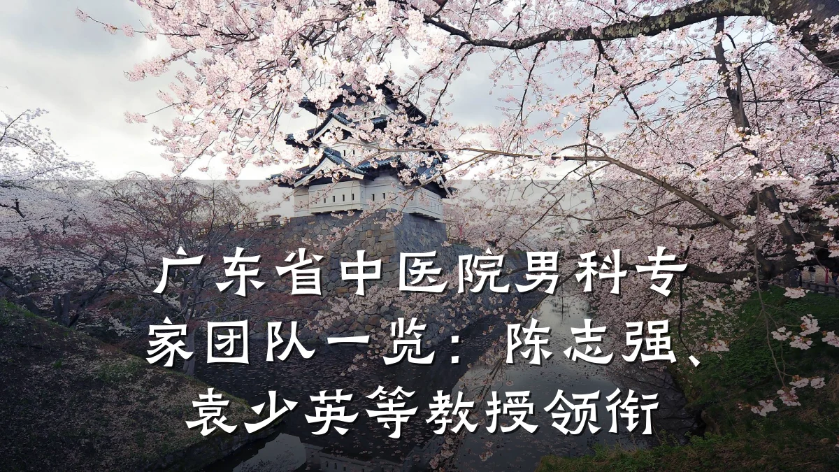 广东省中医院男科专家团队一览:陈志强、袁少英等教授领衔