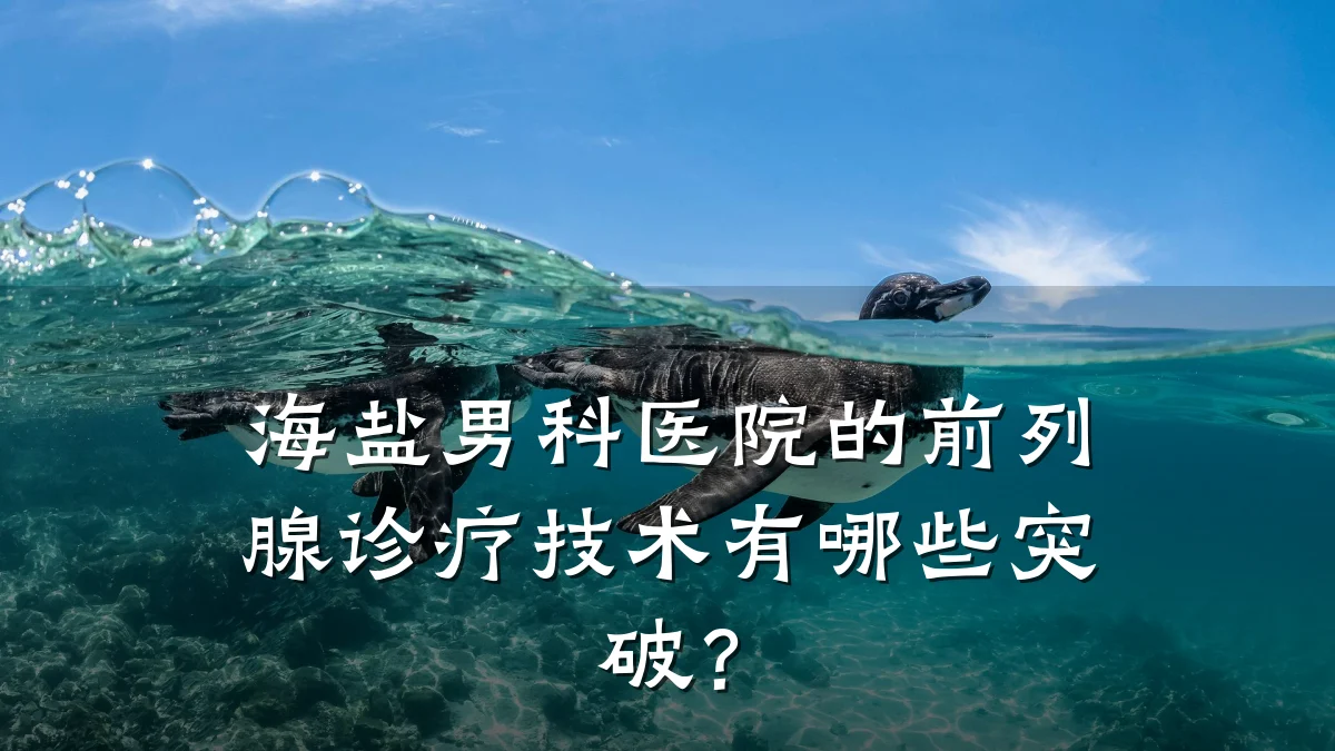 海盐男科医院的前列腺诊疗技术有哪些突破?