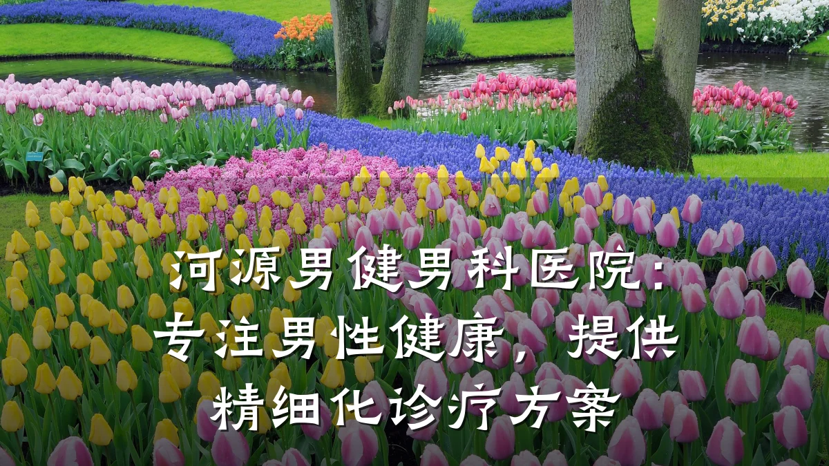 河源男健男科医院:专注男性健康,提供精细化诊疗方案