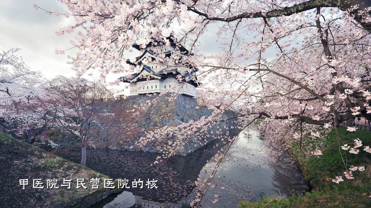 甲医院与民营医院的核