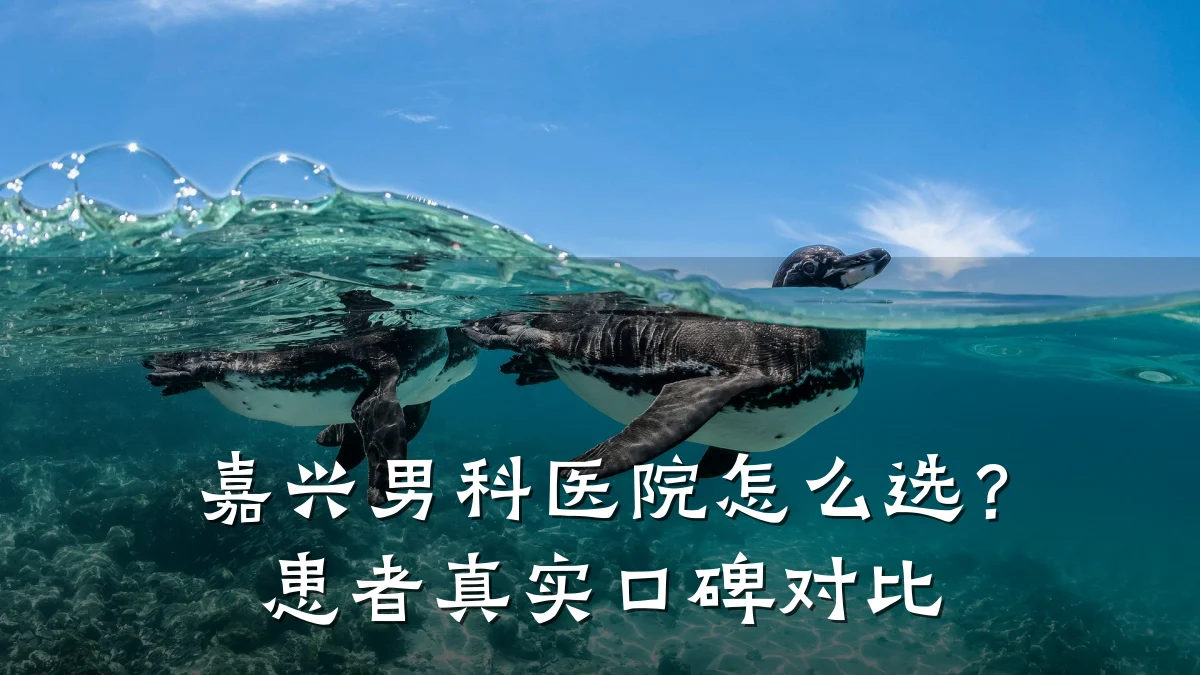 嘉兴男科医院怎么选?患者真实口碑对比