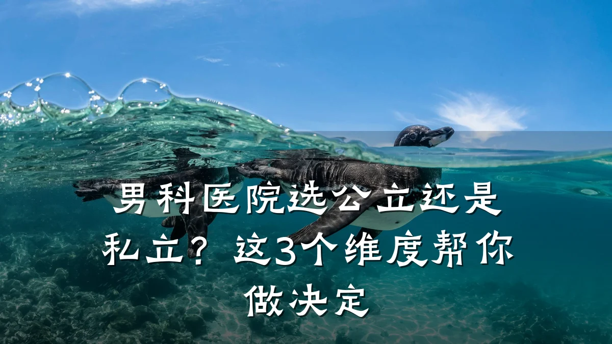 男科医院选公立还是私立?这3个维度帮你做决定