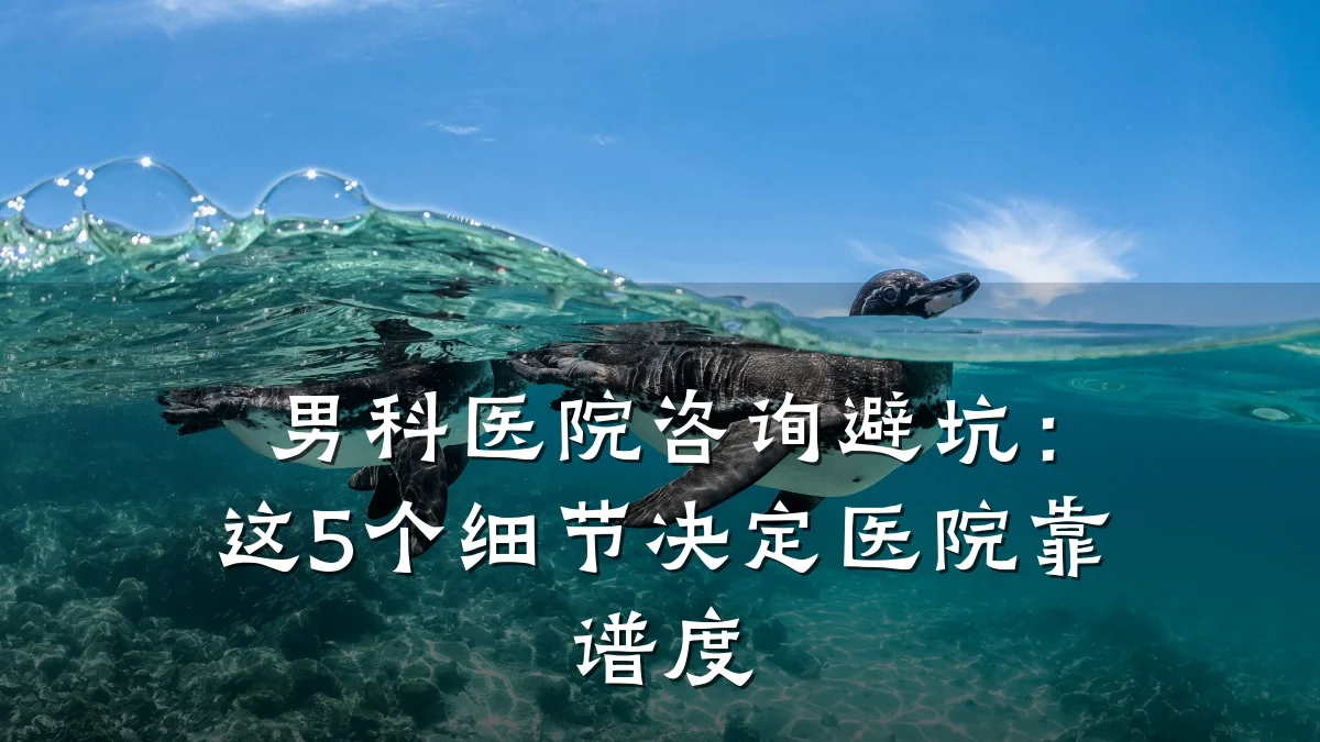 男科医院咨询避坑:这5个细节决定医院靠谱度