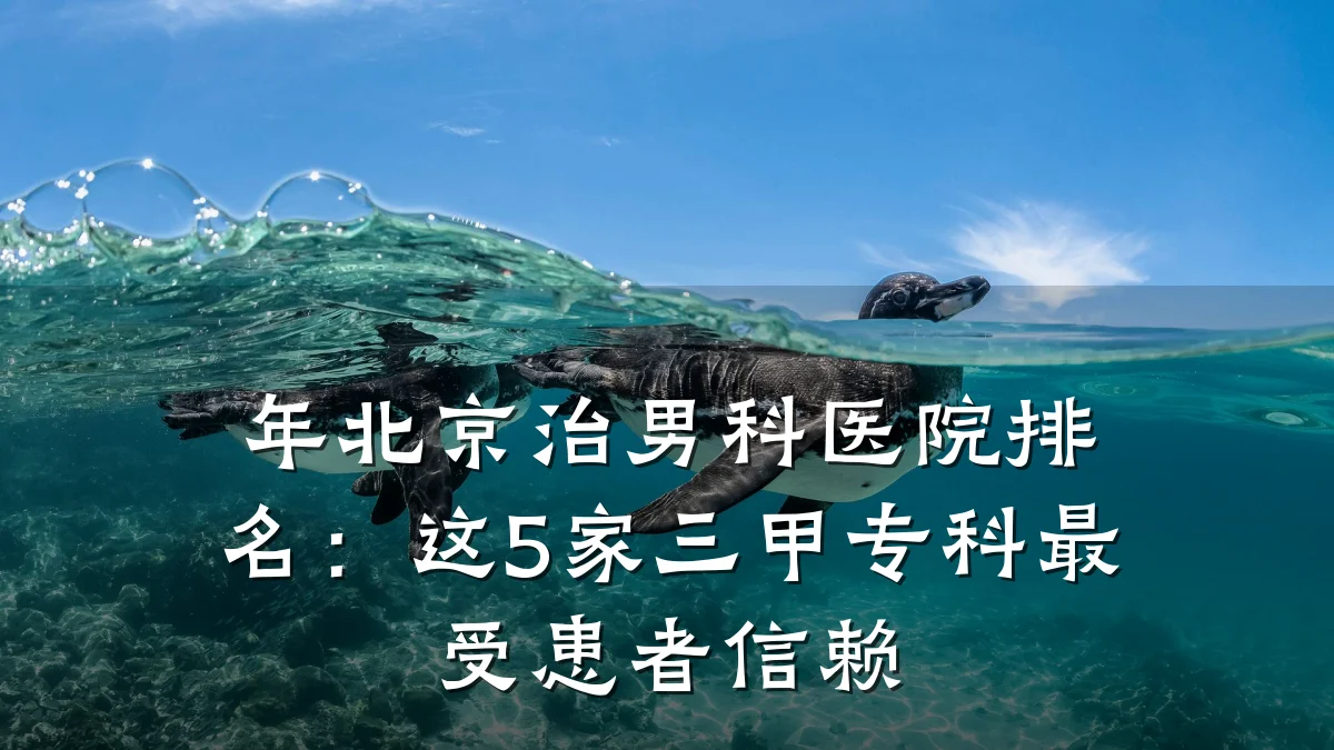 年北京治男科医院排名:这5家三甲专科最受患者信赖