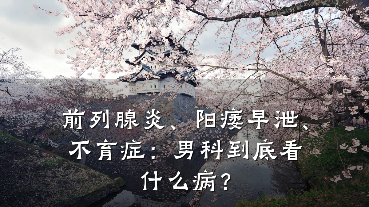 前列腺炎、阳痿早泄、不育症:男科到底看什么病?