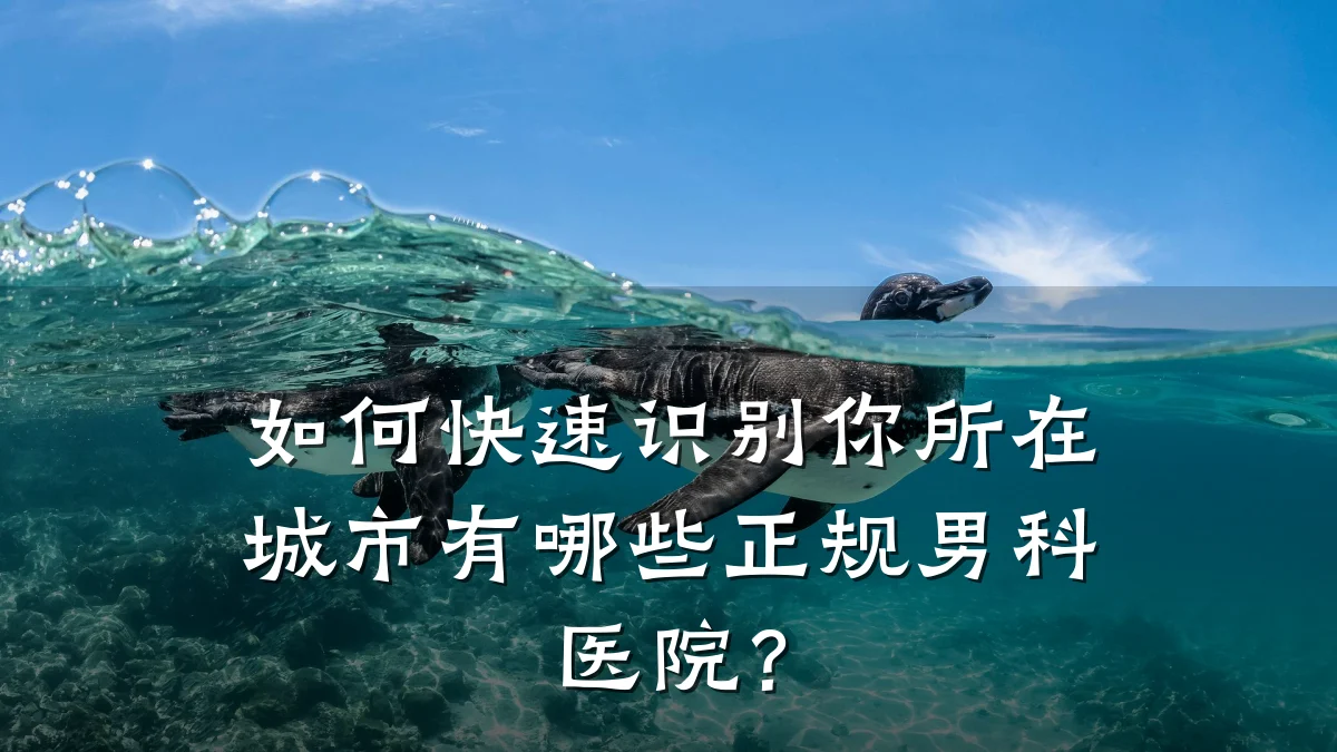 如何快速识别你所在城市有哪些正规男科医院?