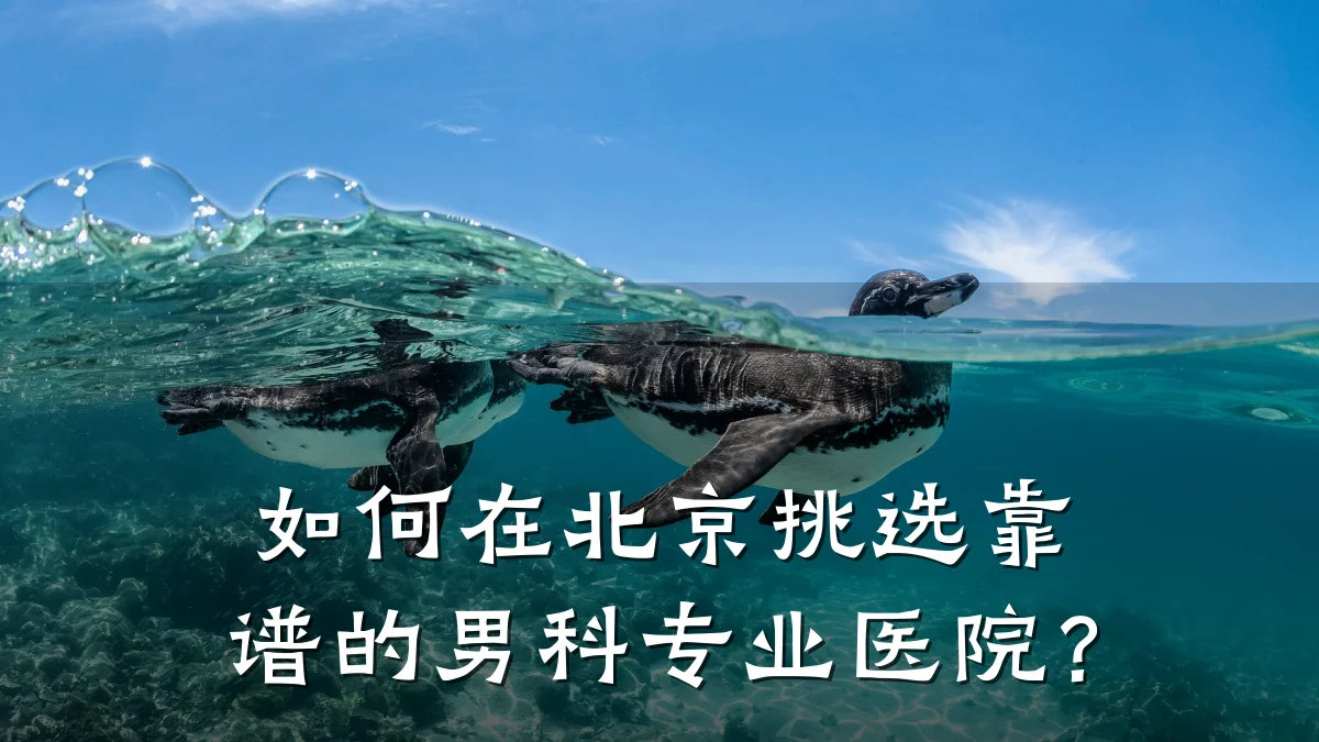 如何在北京挑选靠谱的男科专业医院?