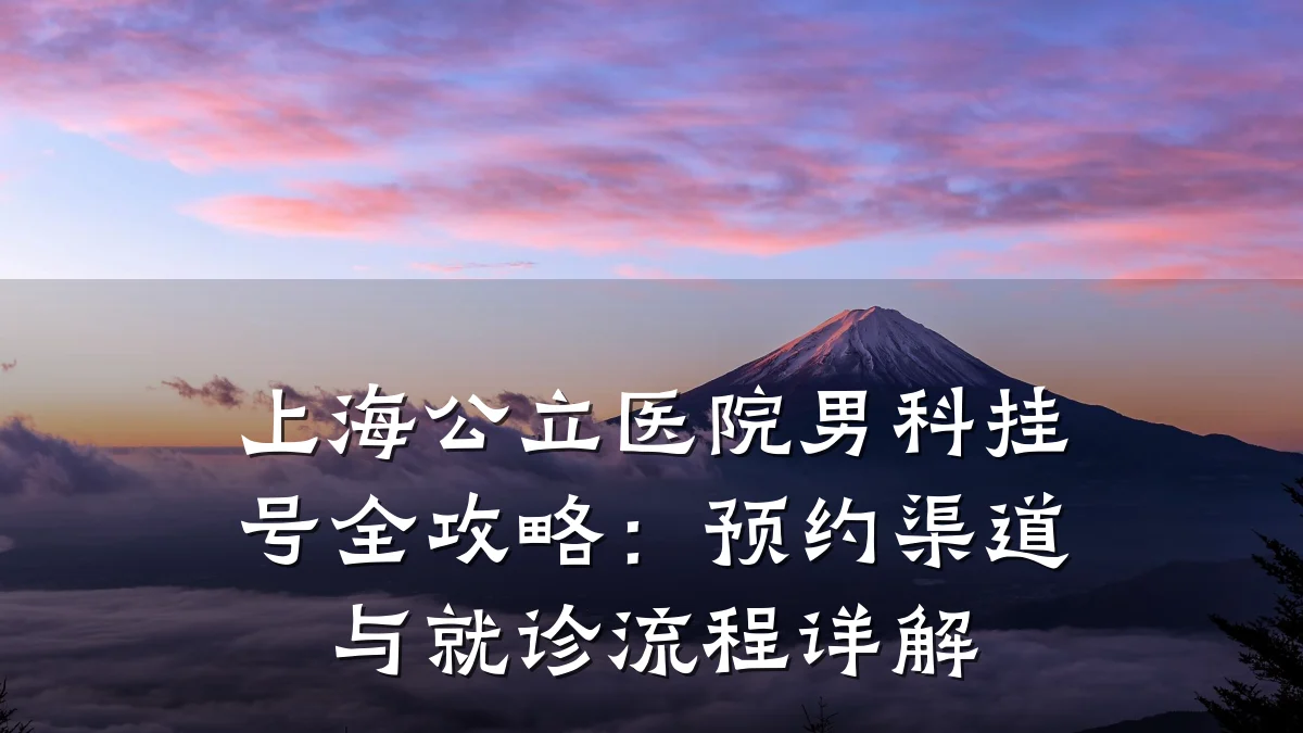 上海公立医院男科挂号全攻略:预约渠道与就诊流程详解