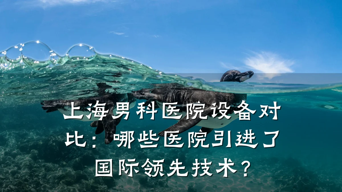 上海男科医院设备对比:哪些医院引进了国际领先技术?