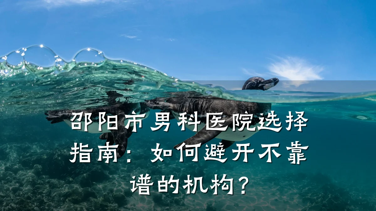邵阳市男科医院选择指南:如何避开不靠谱的机构?
