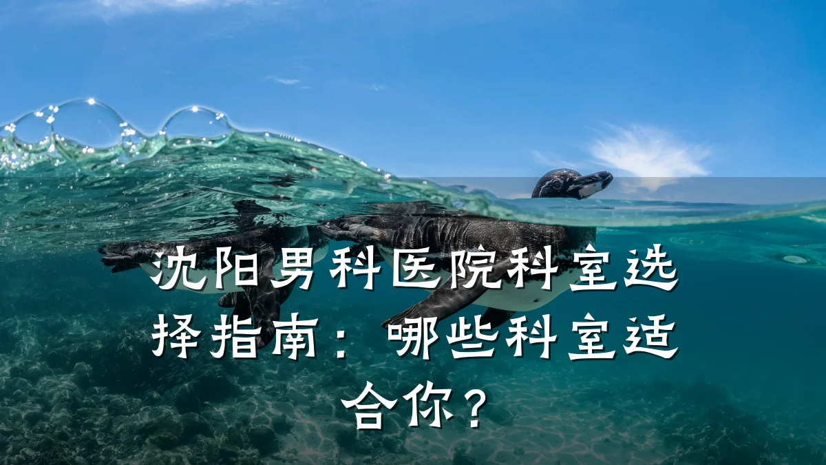 沈阳男科医院科室选择指南:哪些科室适合你?