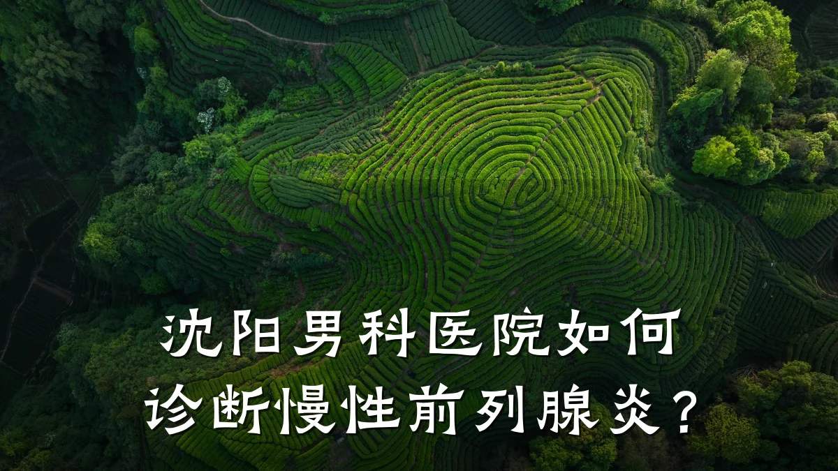 沈阳男科医院如何诊断慢性前列腺炎?