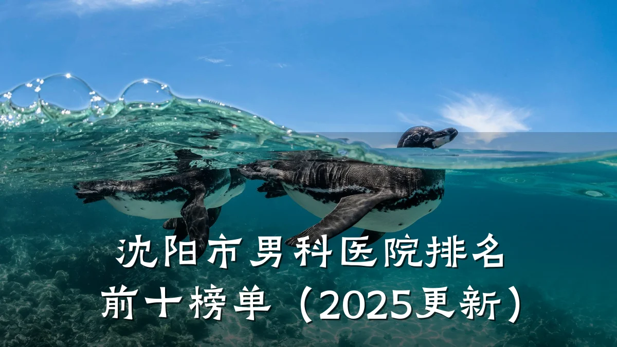 沈阳市男科医院排名前十榜单(2025更新)