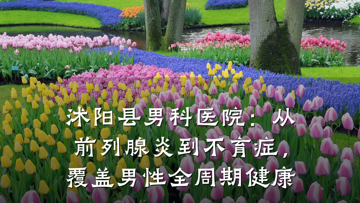 沭阳县男科医院:从前列腺炎到不育症,覆盖男性全周期健康