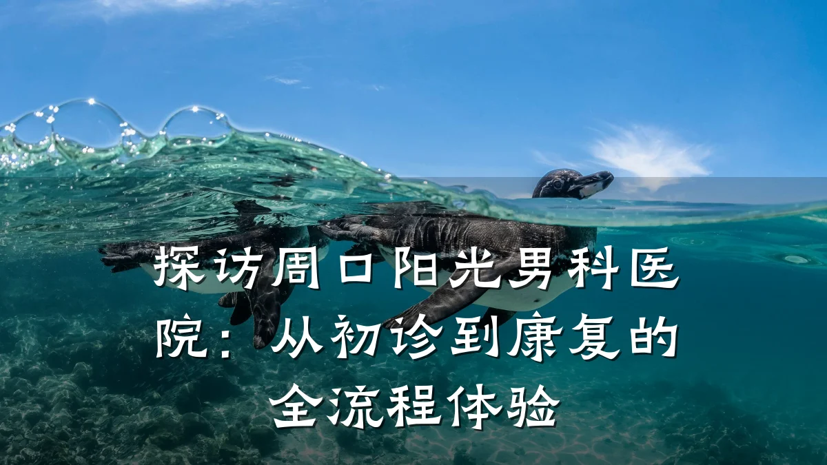 探访周口阳光男科医院:从初诊到康复的全流程体验