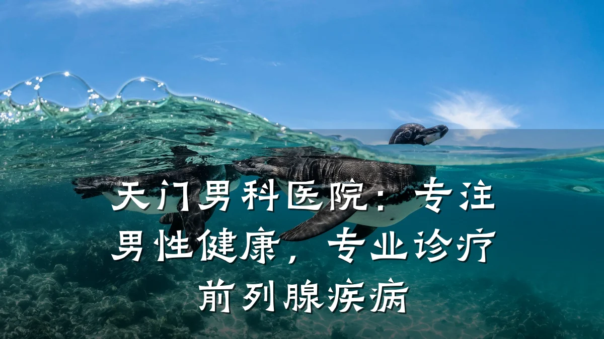 天门男科医院:专注男性健康,专业诊疗前列腺疾病