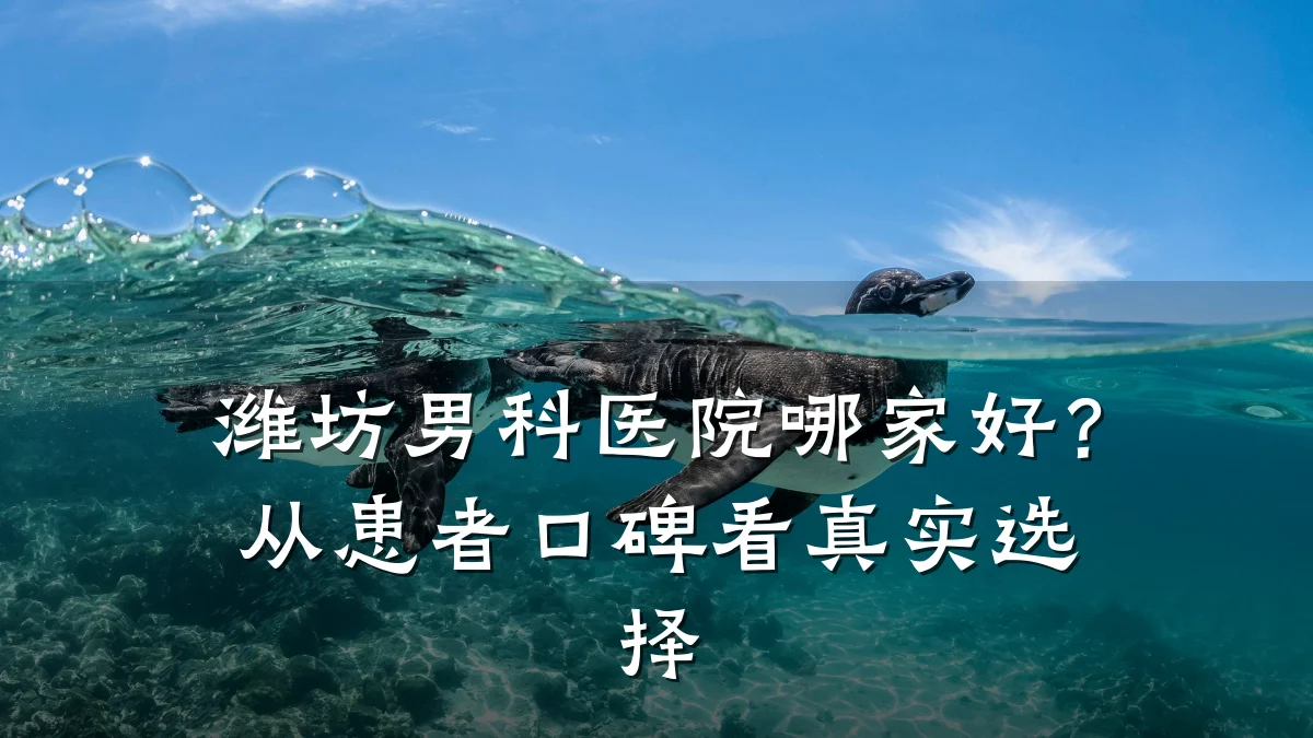 潍坊男科医院哪家好?从患者口碑看真实选择