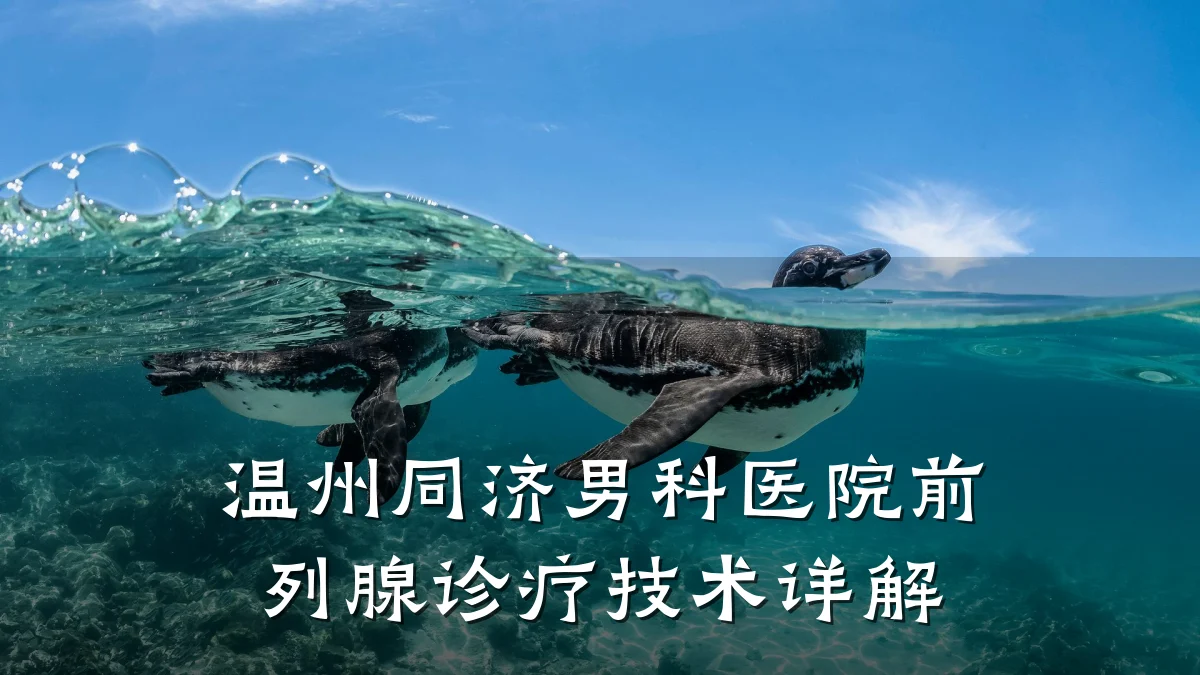 温州同济男科医院前列腺诊疗技术详解