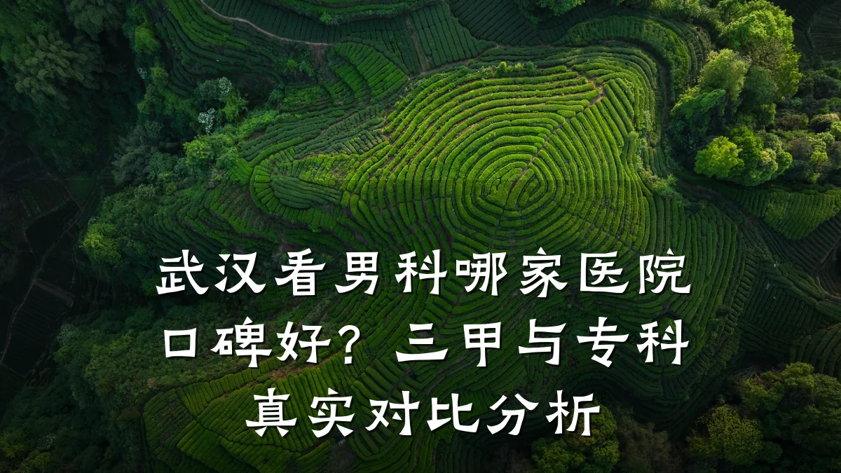武汉看男科哪家医院口碑好?三甲与专科真实对比分析