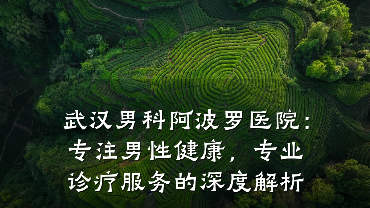 武汉男科阿波罗医院:专注男性健康,专业诊疗服务的深度解析