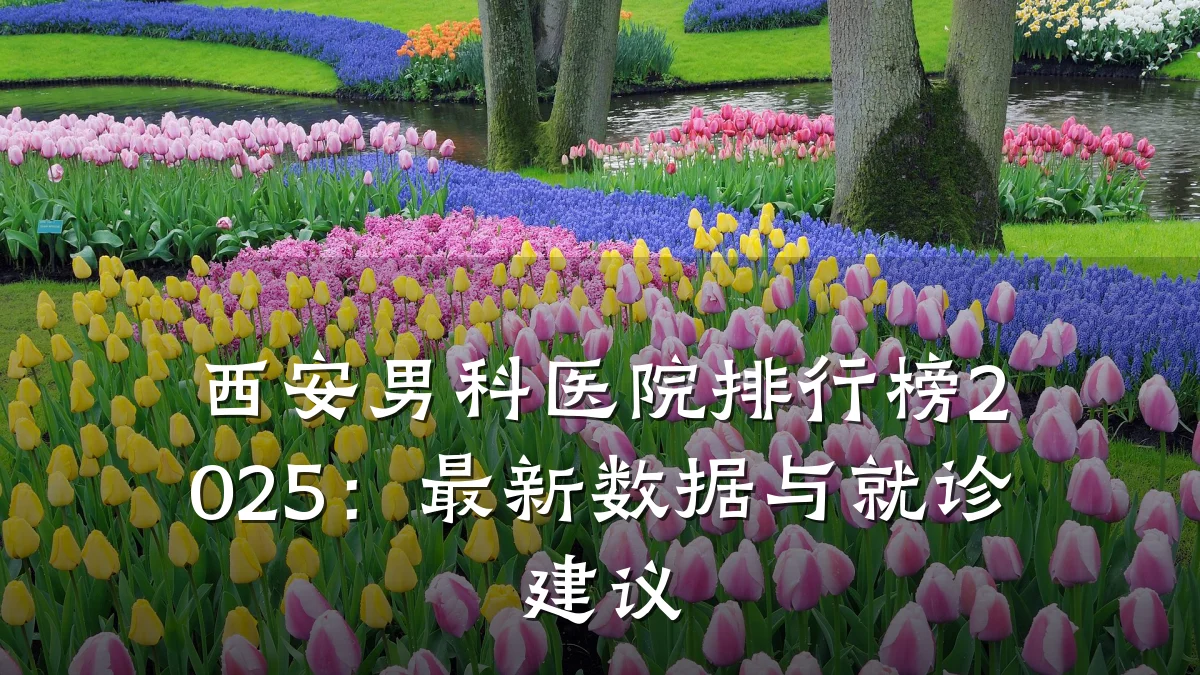 西安男科医院排行榜2025:最新数据与就诊建议