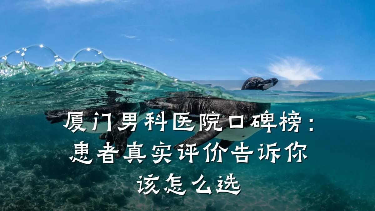 厦门男科医院口碑榜:患者真实评价告诉你该怎么选