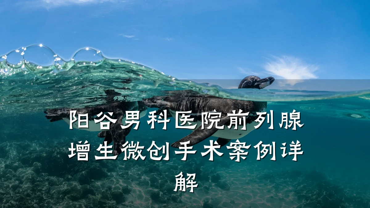 阳谷男科医院前列腺增生微创手术案例详解