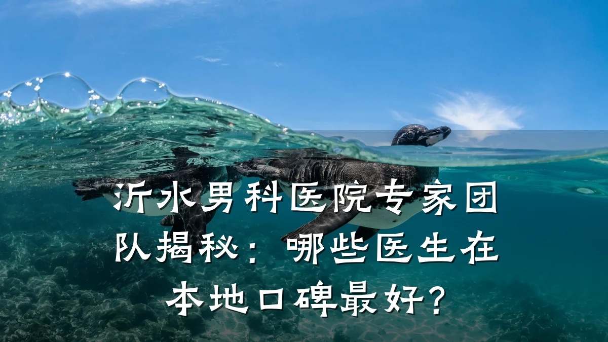 沂水男科医院专家团队揭秘:哪些医生在本地口碑最好?