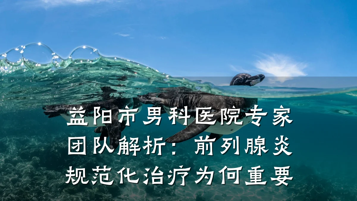益阳市男科医院专家团队解析:前列腺炎规范化治疗为何重要
